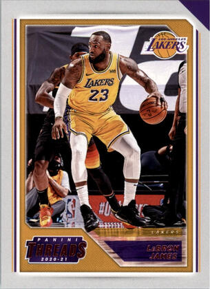 LeBron James Panini
